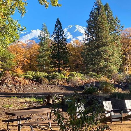 Basecamp Lodge マウント・シャスタ エクステリア 写真