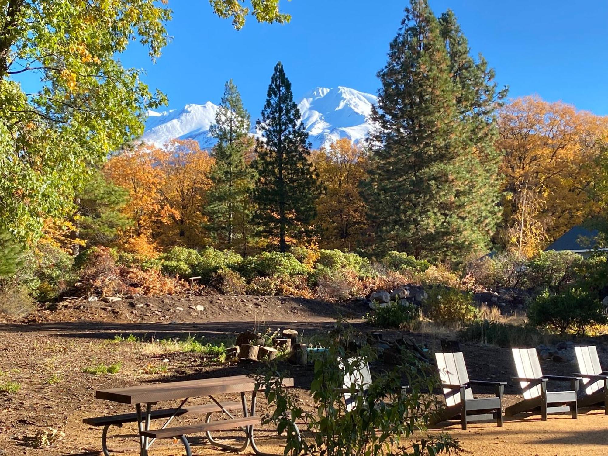 Basecamp Lodge マウント・シャスタ エクステリア 写真